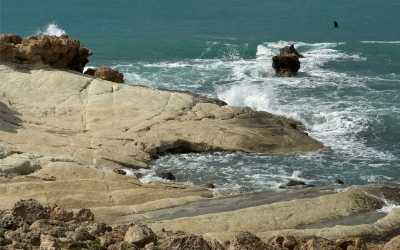 Marathon Jeep Safari - Narodowy Park Akamas z Pafos