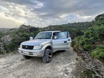 Z Pafos do wąwozu Avakas Kanyon Mini Marathon