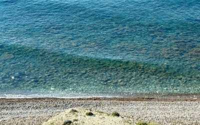 Wycieczka na plażę Skała Afrodyty [35] z Pafos